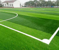 Artificial Turf Football Field Plastic Track And Course Material Surface Series
