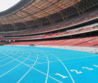 Plastic Runway Plastic Running Track And Course Material Surface Series